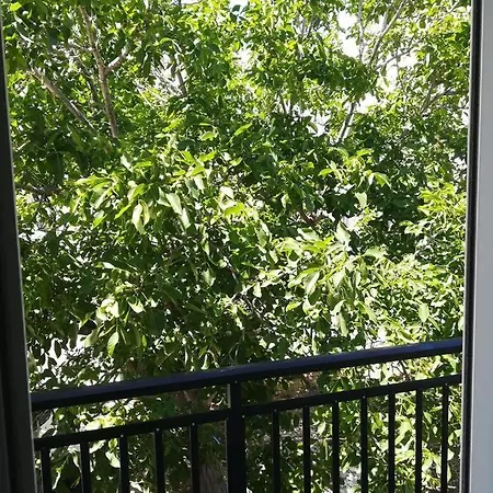 Alma Libre Luxury 3